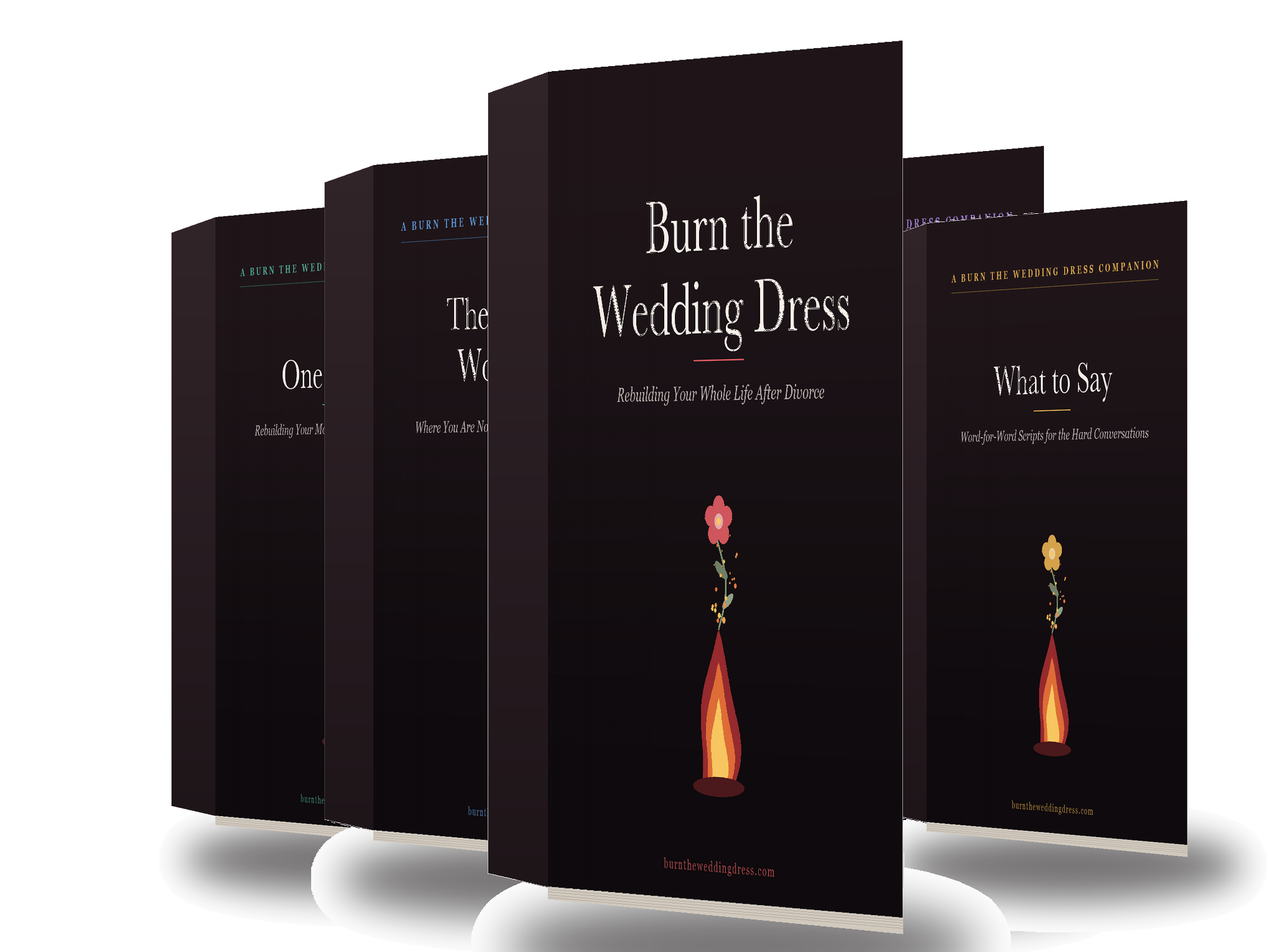 The Burn the Wedding Dress book set