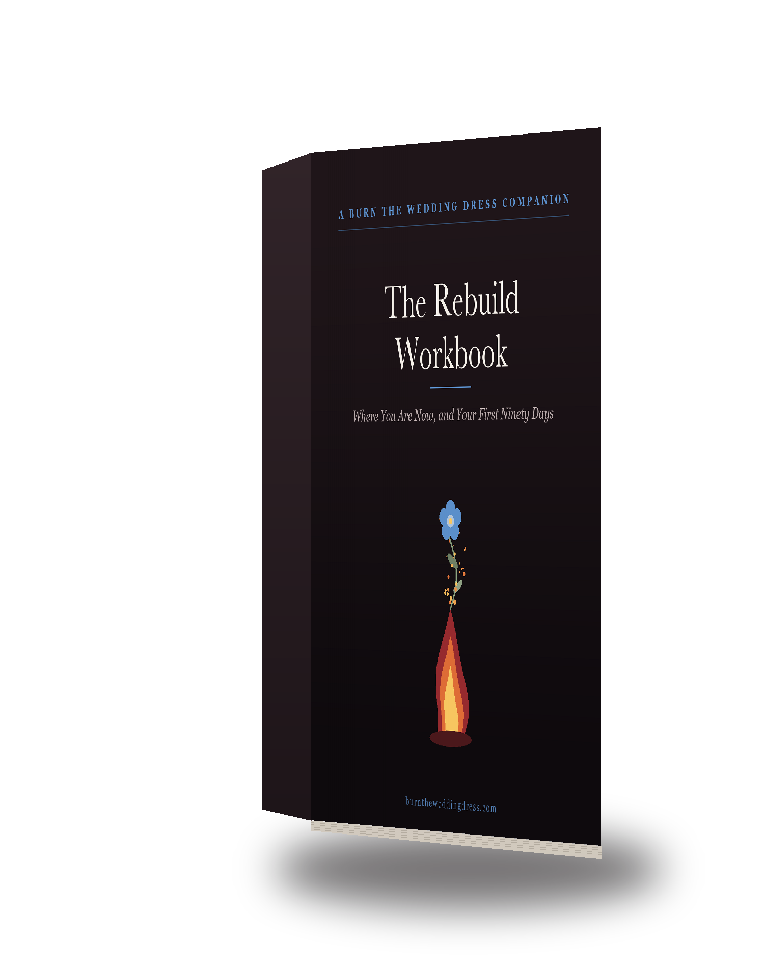 The Rebuild Workbook